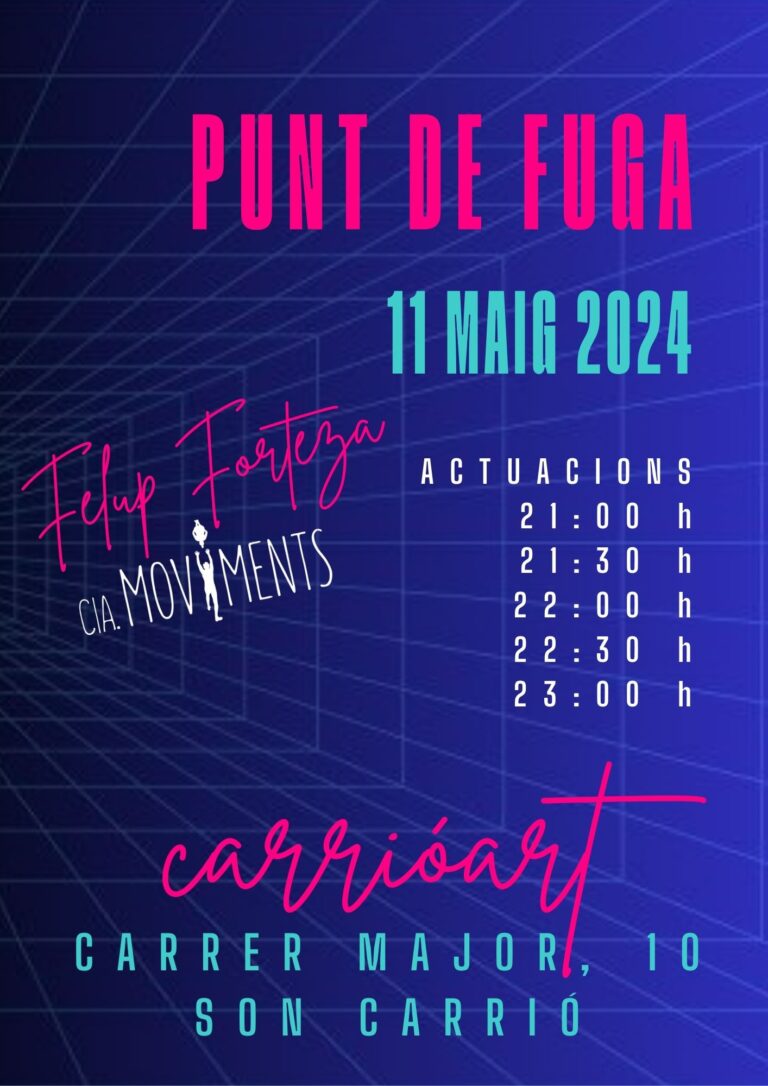 punt de fuga